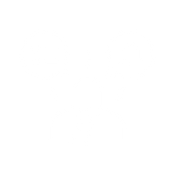 Depression, Anxiety, Bipolar Disorder, OCD