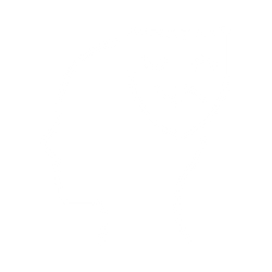 Borderline Personality Disorder