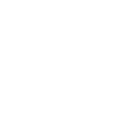 Executive Functioning Issues