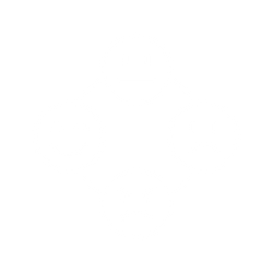 Emotional Dysregulation or Big Emotions Low Skills